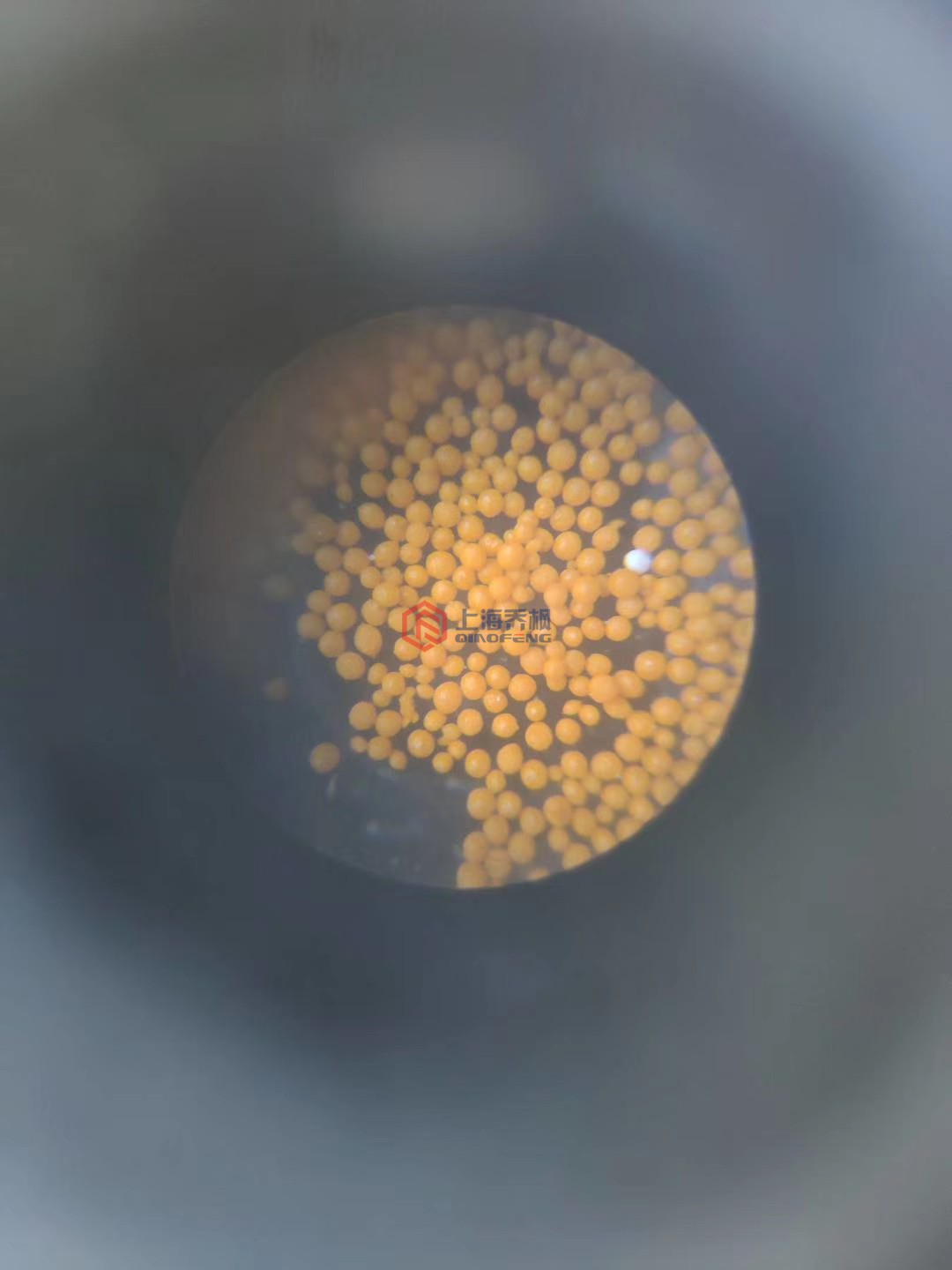 1574060054177504.jpg 1574060054177504.jpg